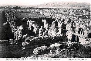 ALGERIE-RUINES ROMAINES DE LAMBESE (46)